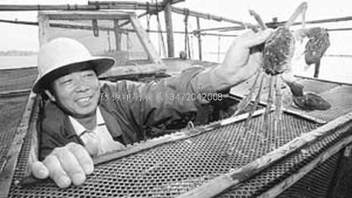 凤城防伪印刷厂_凤城防伪印刷多少钱