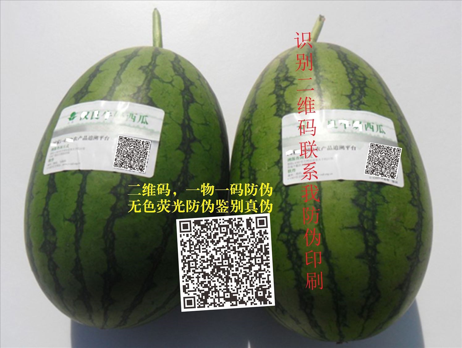 河北管材防伪标签_河北管材防伪标签哪里买